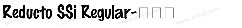 Reducto SSi Regular字体转换